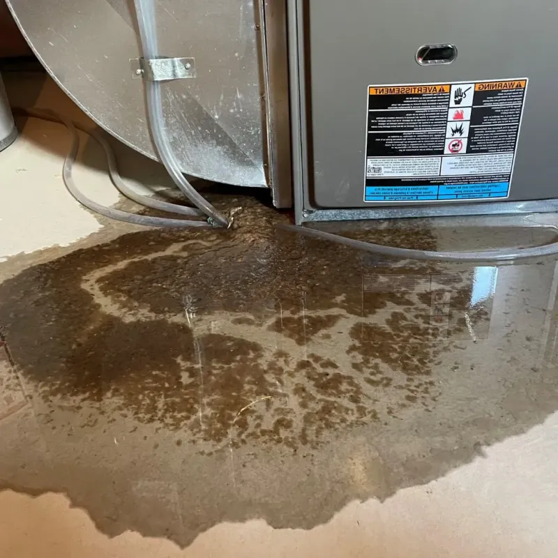 Pipe Burst and Leak Restoration in Ellington, CT