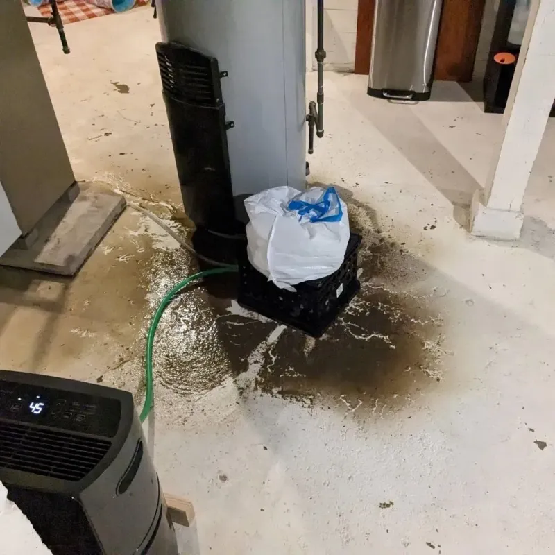 Sewage Backup Cleanup Service in Ellington, CT